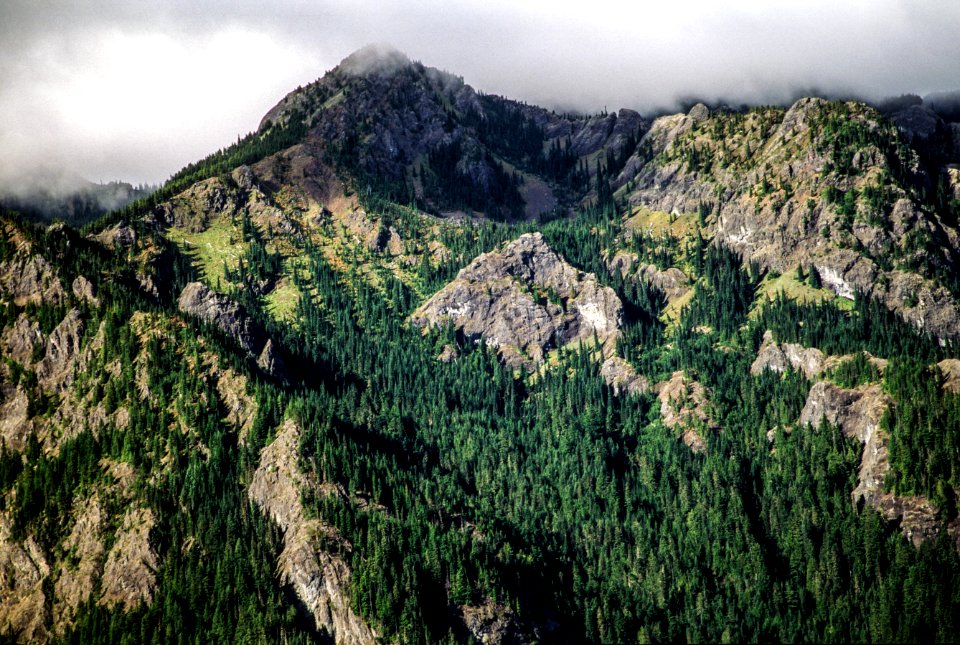Olympic mountain range, Olympic National Forest-2.jpg