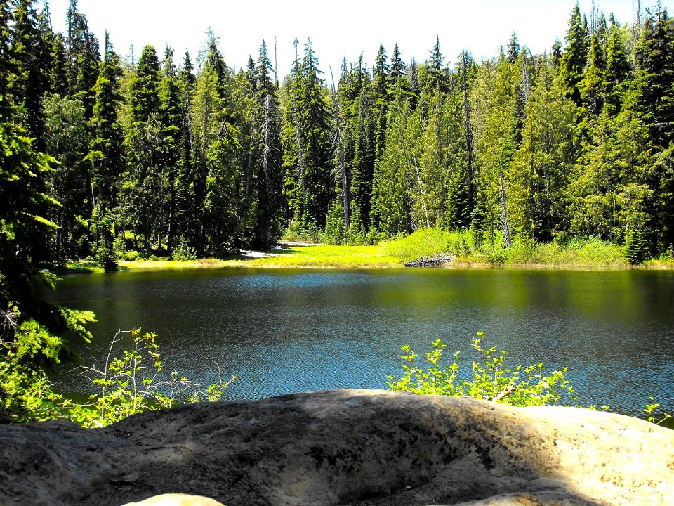 Rogue River & Umpqua NF-Rogue-Umpqua Divide Wilderness