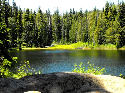 Rogue River & Umpqua NF-Rogue-Umpqua Divide Wilderness photo