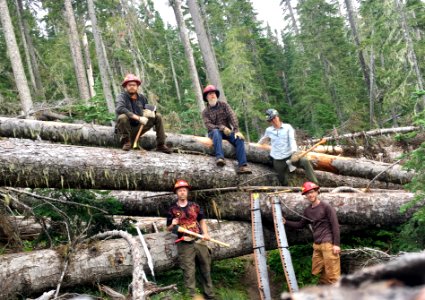 201908 MtHood Mt Hood trail crew before clearing a portion of trail in Mt Hood Wilderness. photo