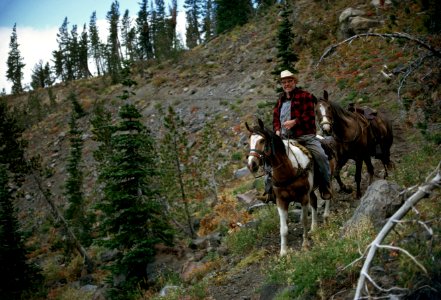 Horse Packing on Steep Trail, Wallowa Whitman National Forest photo