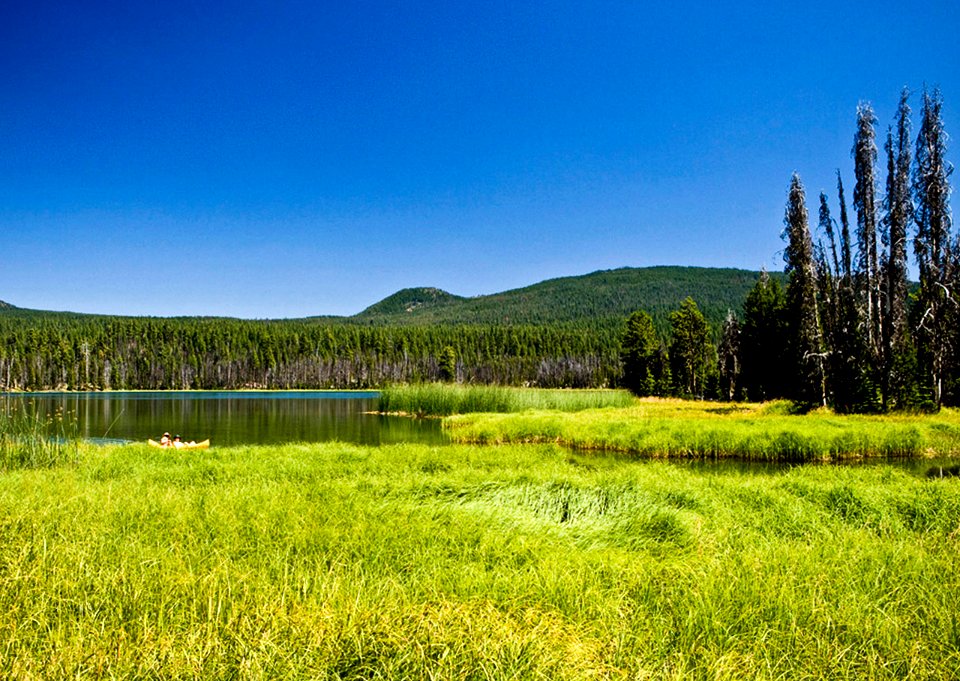 HEADWATERS OF DESCHUTES RIVER DESCHUTES