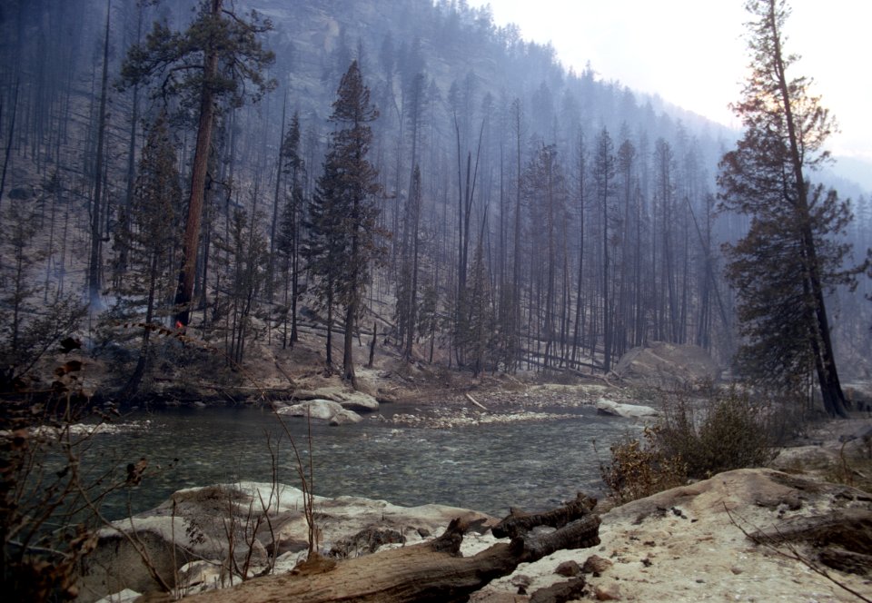221 Entiat River near Fox Creek after fire, Wenatchee Nat'l Forest