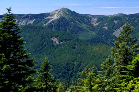View of Mark O Hatfield Wilderness-Mt Hood