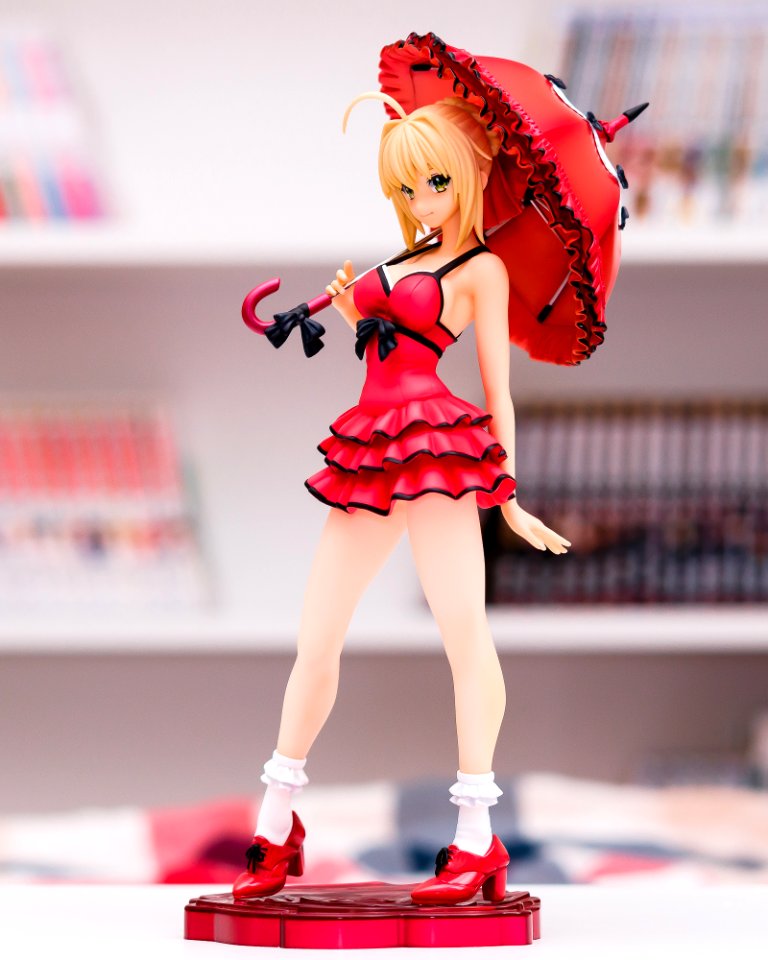 Saber One Piece ver.