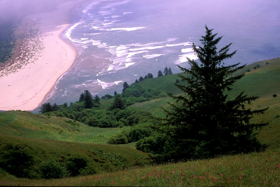 View from Cascade Head Overlook, Siuslaw National Forest