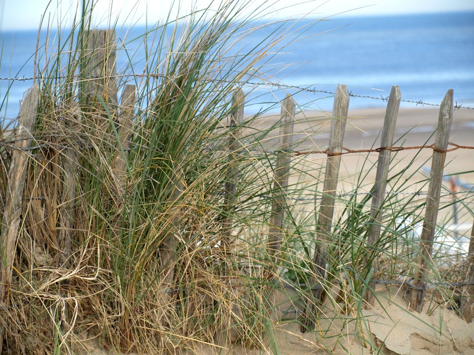 P5077079