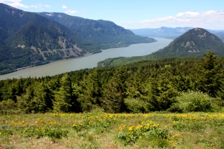 Facing West, Columbia River from Dog Mountain