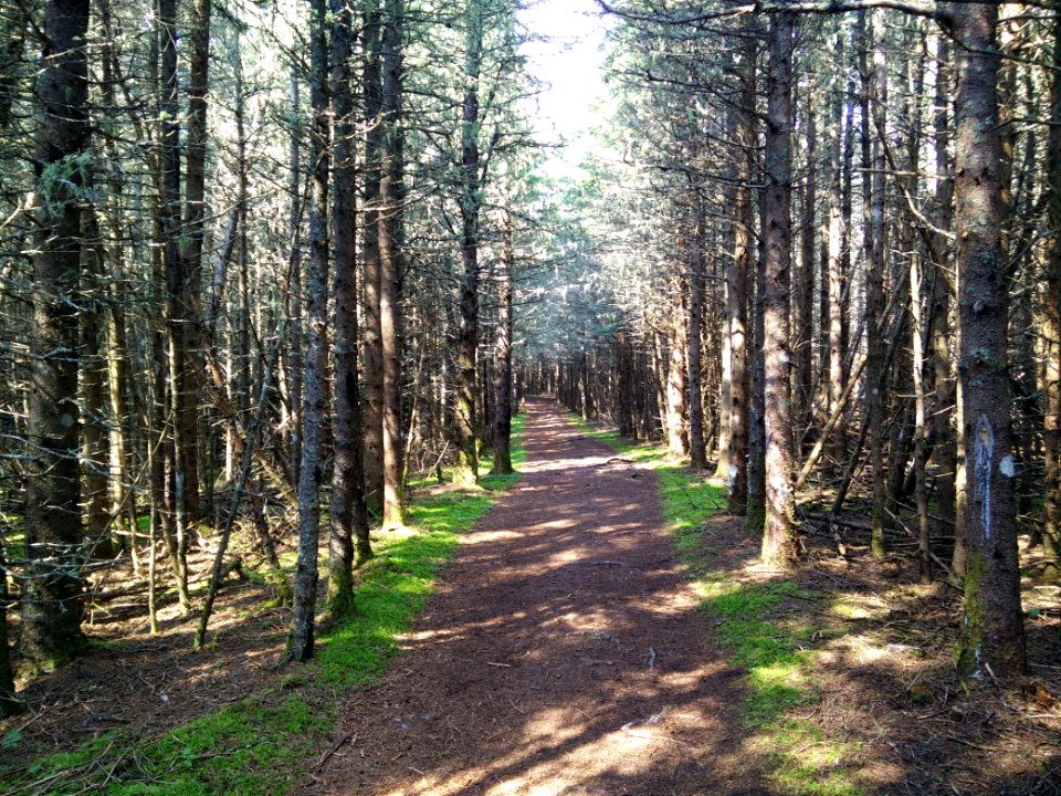 274 - Parc national du Bic