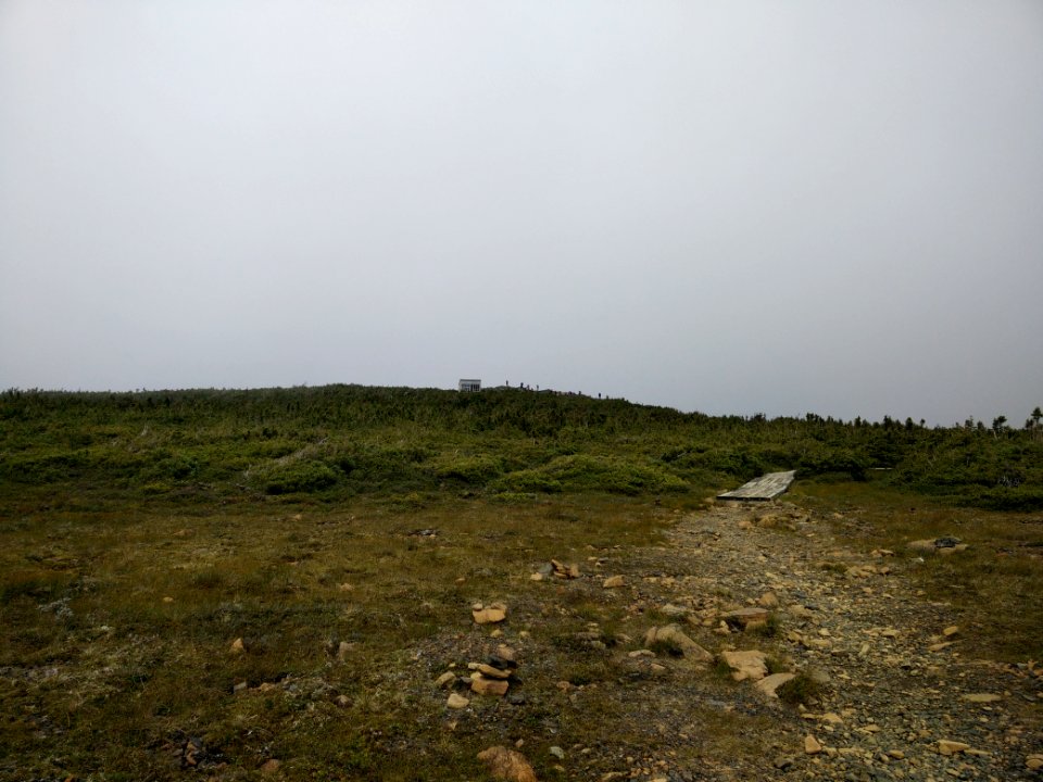 073 - Parc national de la Gaspésie : Mont Albert