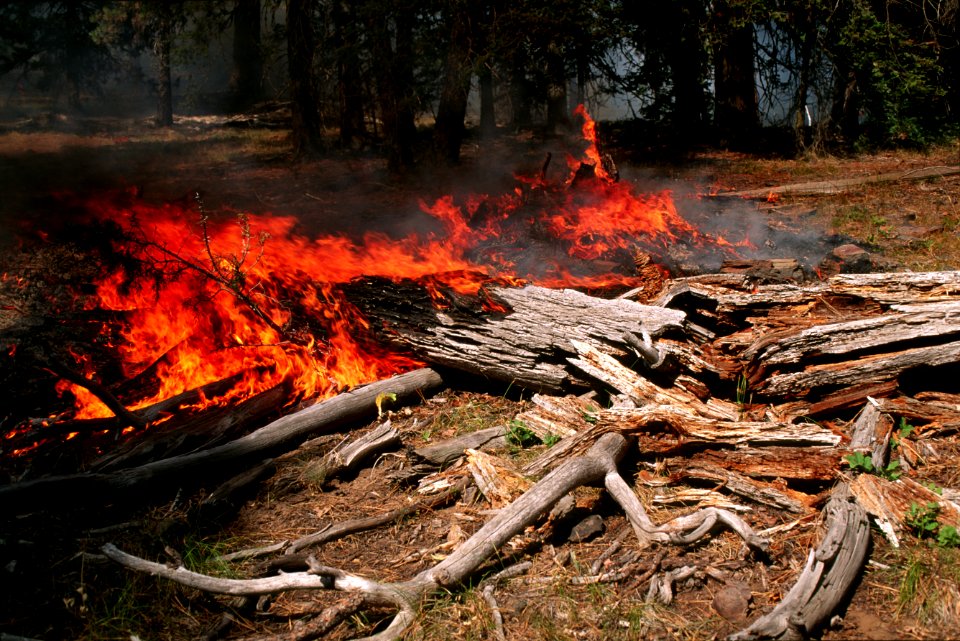 485 Prescribed fire burn, Colville National Forest