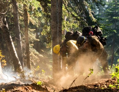 Firefighters Digging Line, Whitewater Fire, 2017 photo