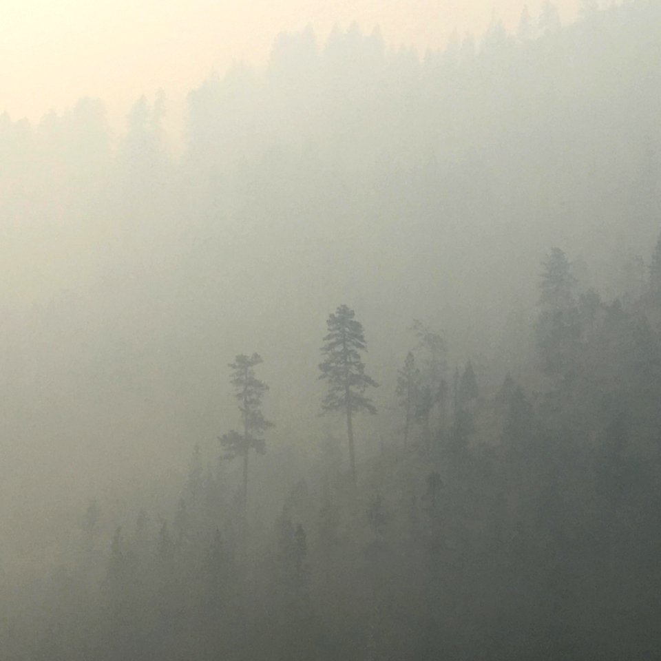 Forest road 2512 and smoke-filled air, Klondike Fire