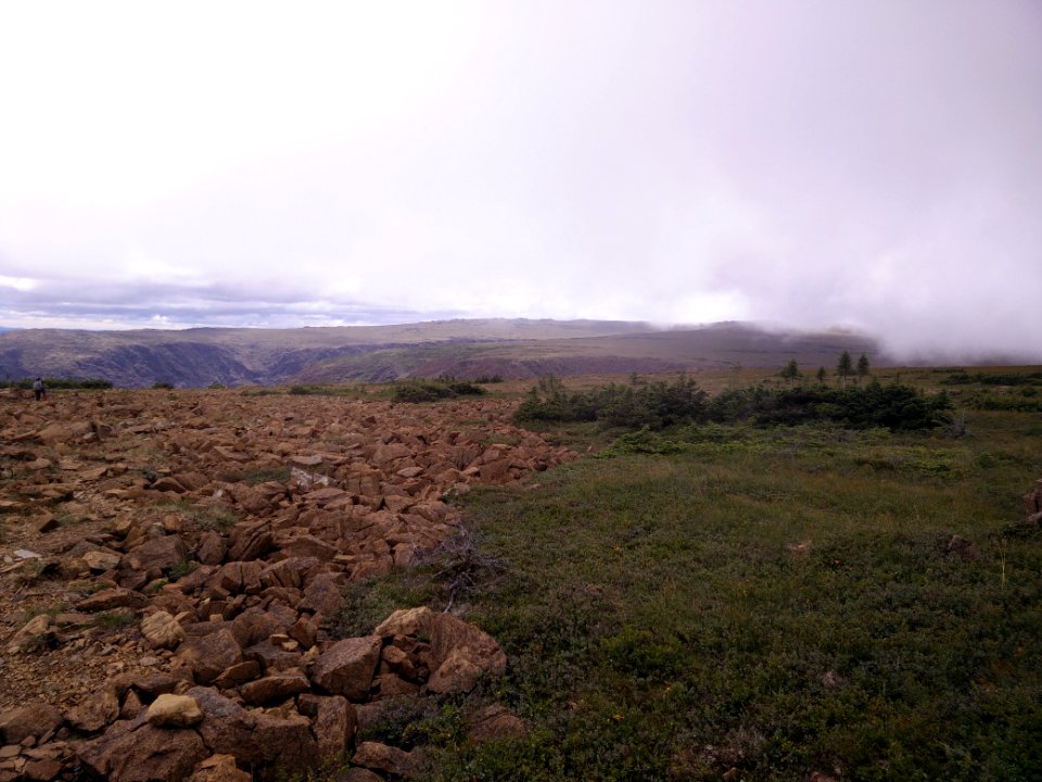 075 - Parc national de la Gaspésie : Mont Albert