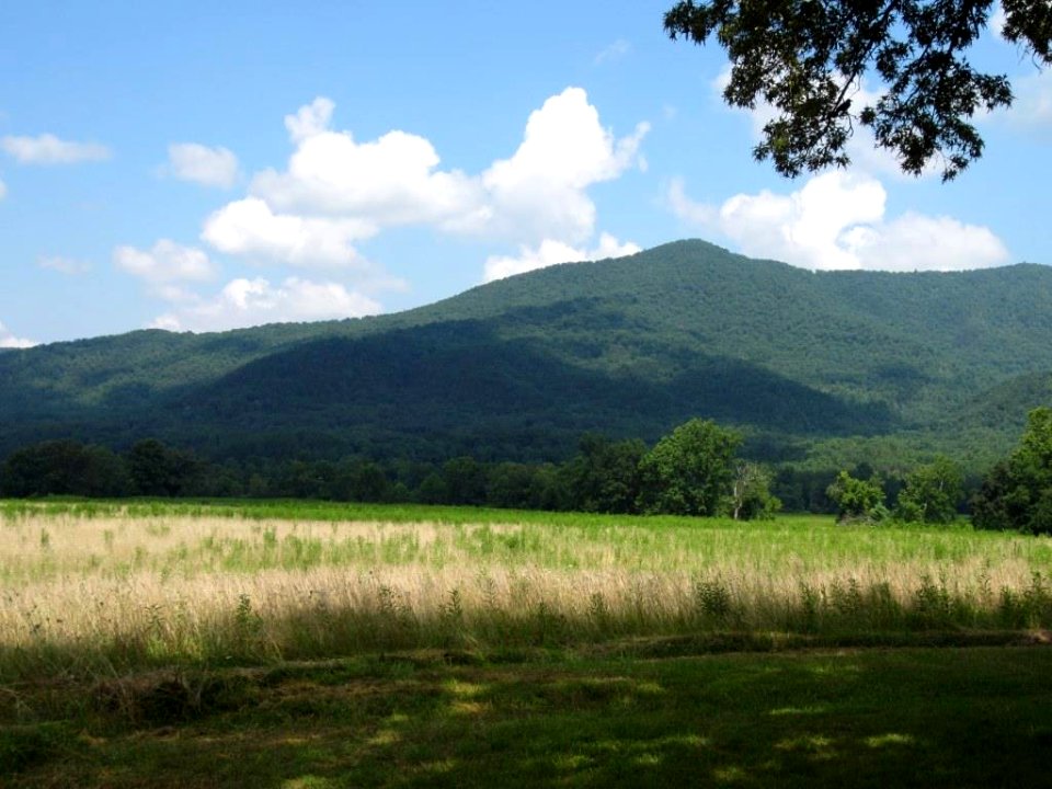 CadesCove LeQuireCemeteryOverlookandAdjacentField Site03.jpg