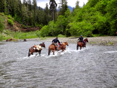 Grays Harbor Horsemen Fording Pete's Creek-Olympic