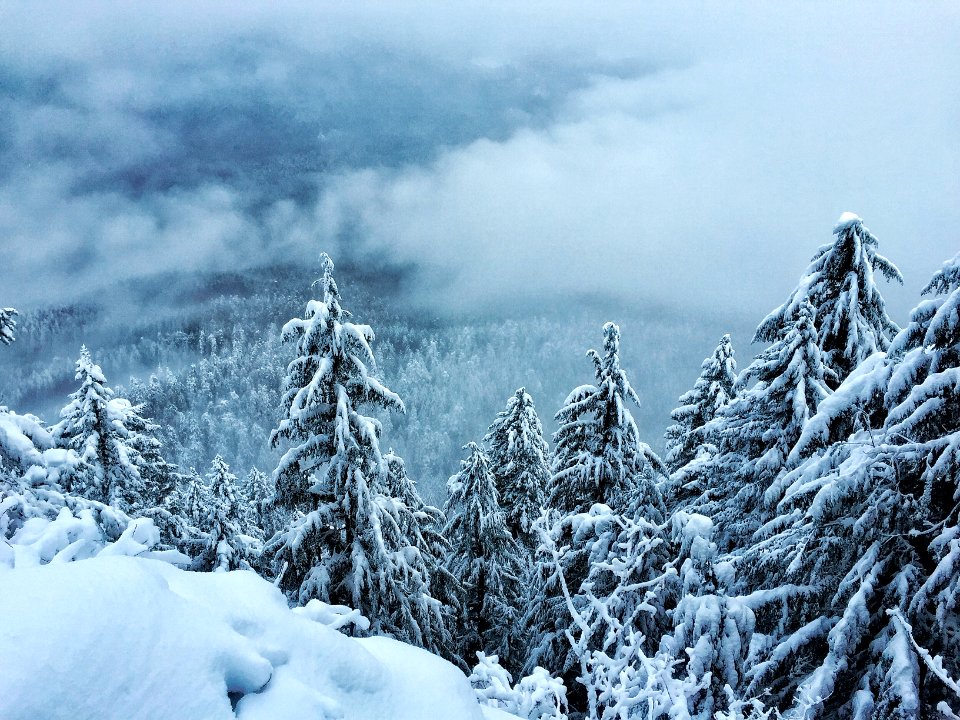 Winter in the Opal Creek Wilderness, Willamette National Forest
