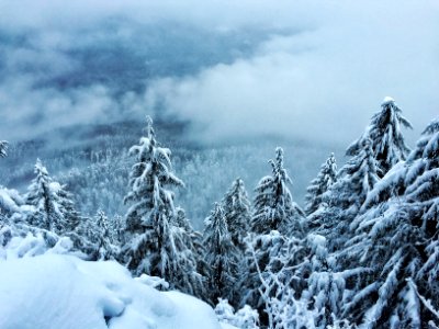 Winter in the Opal Creek Wilderness, Willamette National Forest