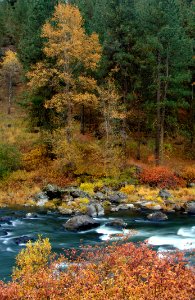 Sprague River in Fall-Fremont Winema