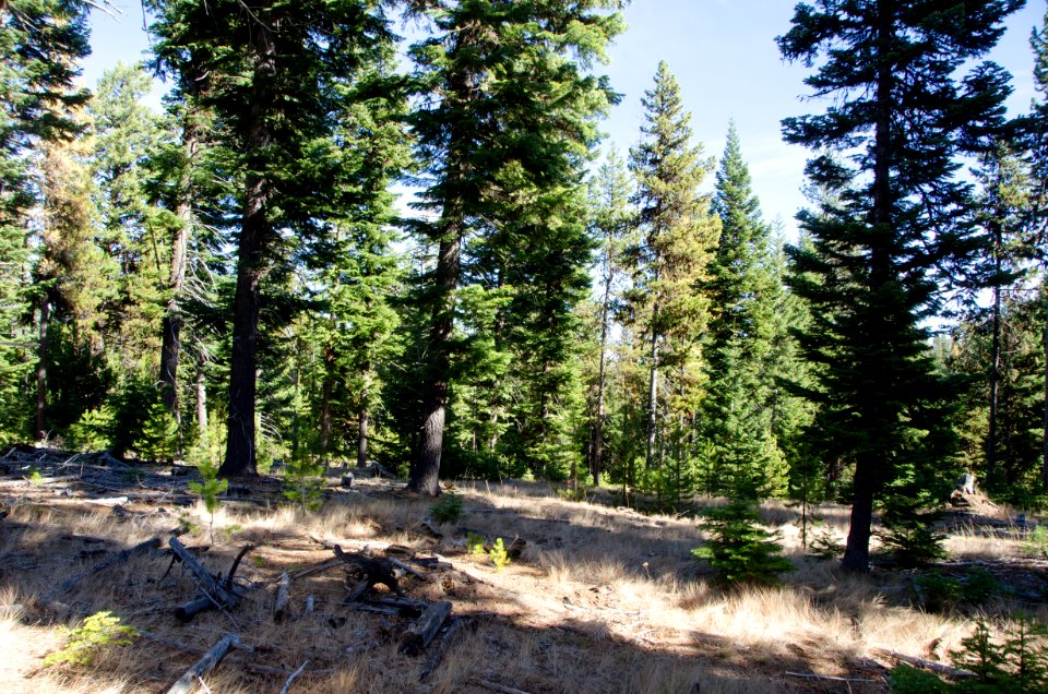 OCHOCO-Sustainability & Resiliency Camp-004