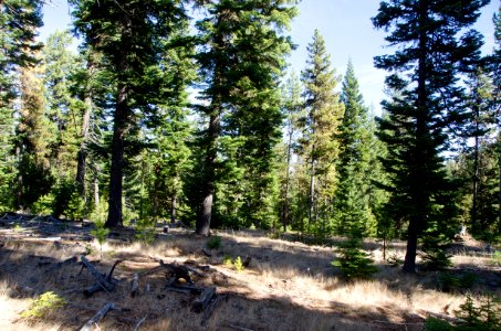 OCHOCO-Sustainability & Resiliency Camp-004 photo