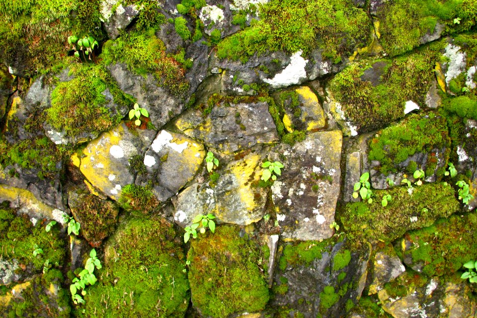 stone wall 7 photo