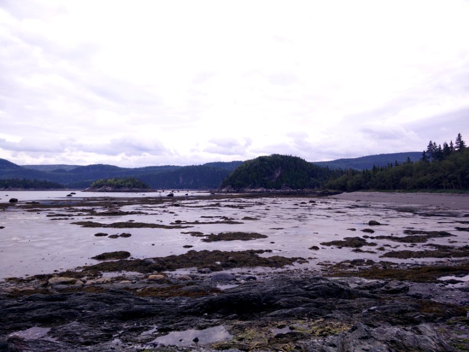 251 - Parc national du Bic : Le Chemin-du-Nord