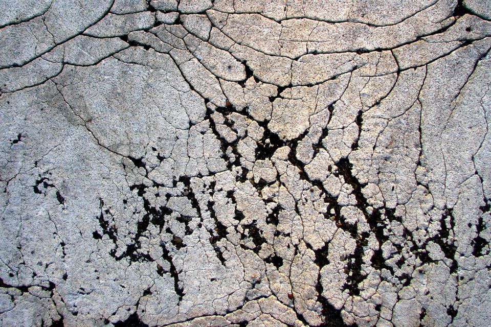 cracked sidewalk