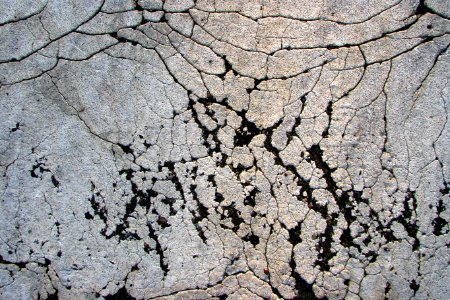 cracked sidewalk photo