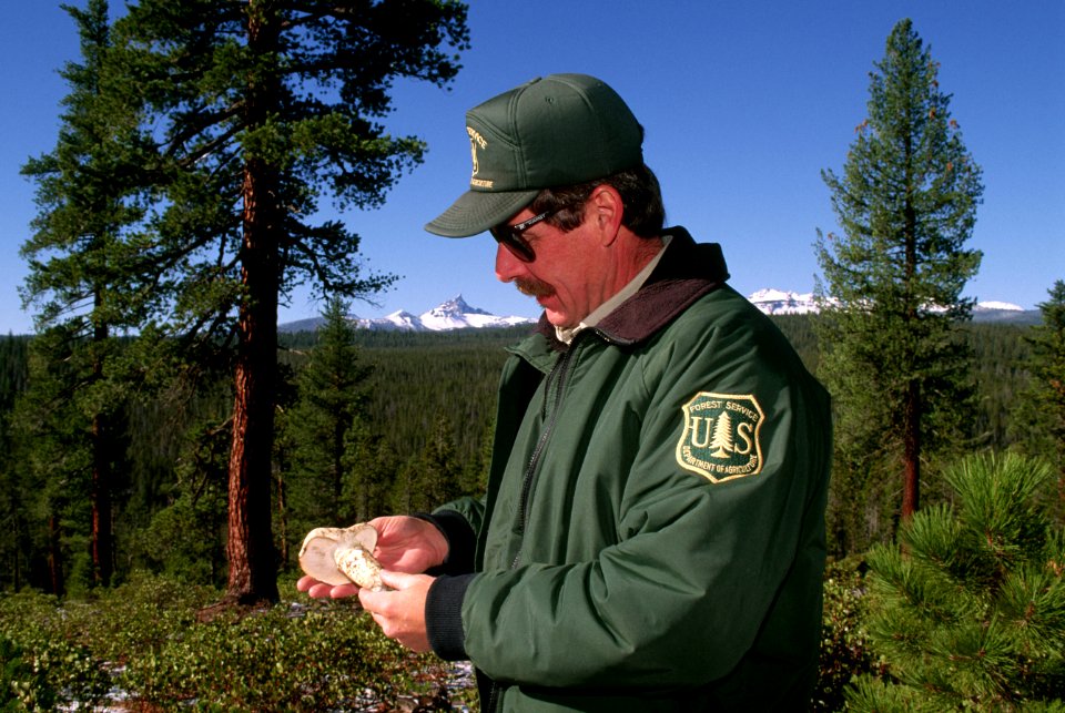 Researcher examining Mushroom.jpg