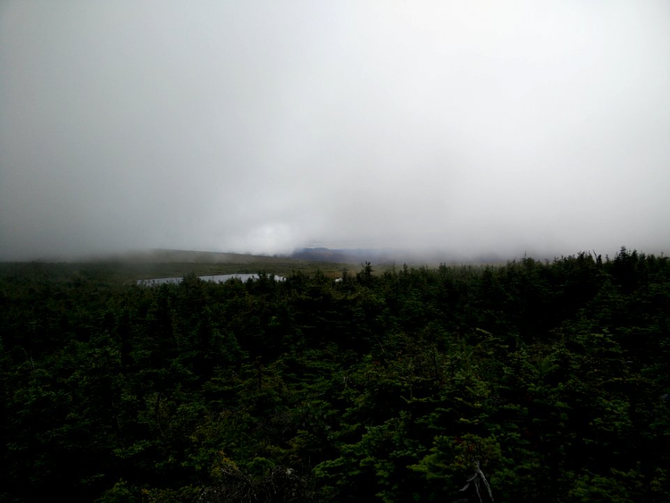 060 - Parc national de la Gaspésie : Mont Albert