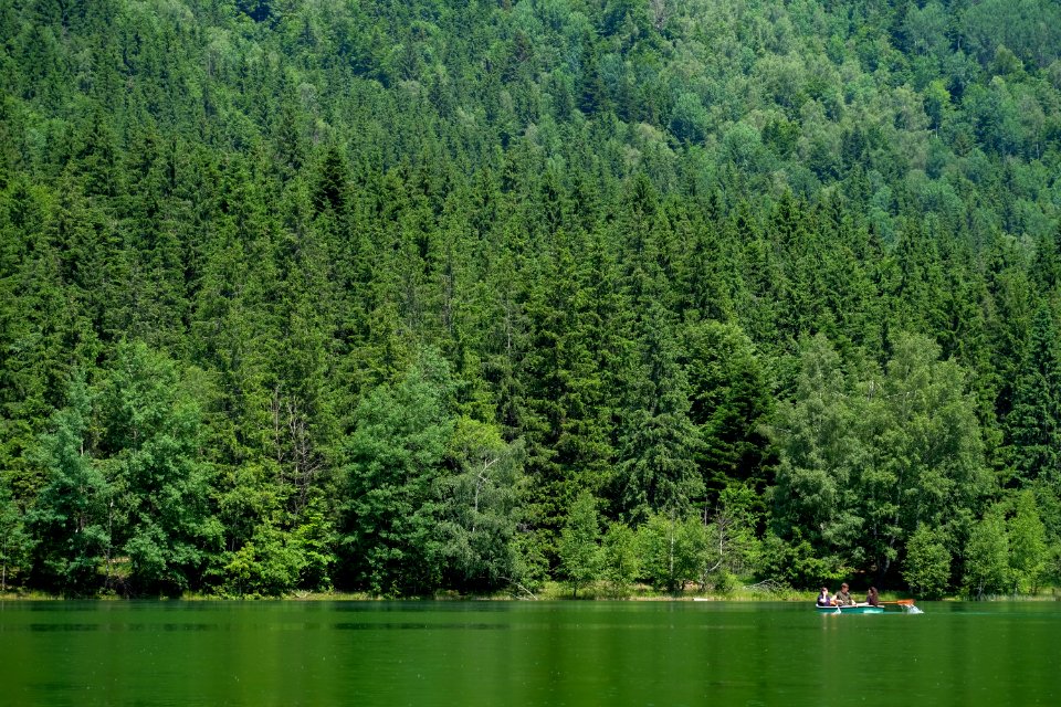 Boat on a Volcanic Green Lake Surrounded of a Forest photo