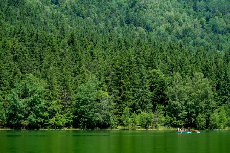 Boat on a Volcanic Green Lake Surrounded of a Forest photo