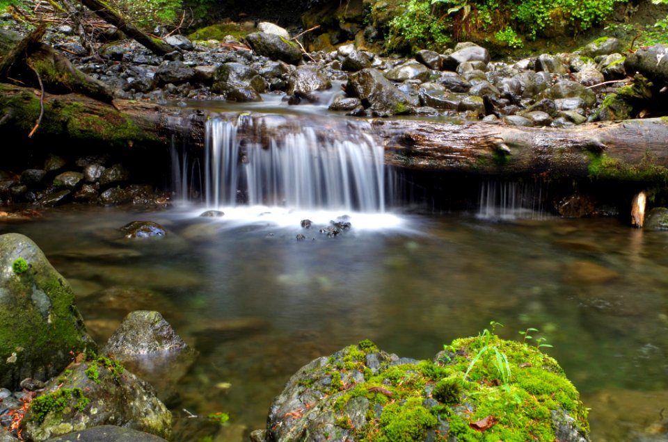 Boulders, Stream and Log Detail, Olympic National Forest