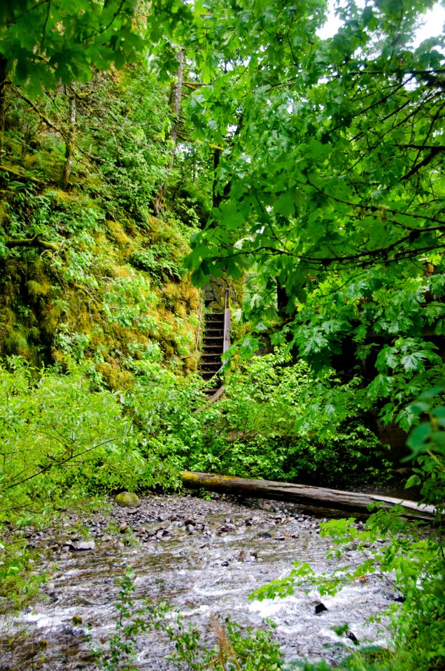 Stairwell to Oneonta Gorge Trail-Columbia River Gorge