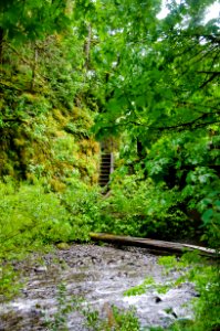 Stairwell to Oneonta Gorge Trail-Columbia River Gorge photo