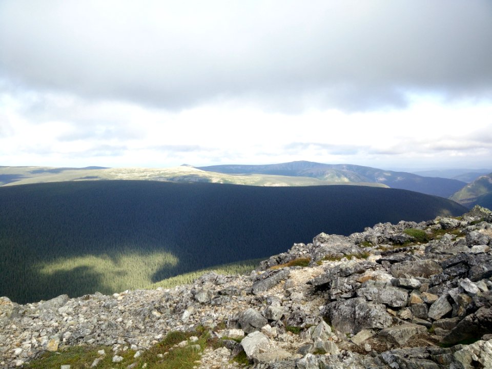 101 - Parc national de la Gaspésie : Mont Richardson