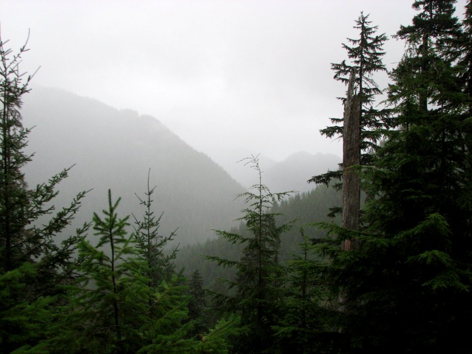 Skokomish area early fall 2017 return of moisture, Olympic National Forest