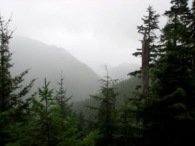 Skokomish area early fall 2017 return of moisture, Olympic National Forest