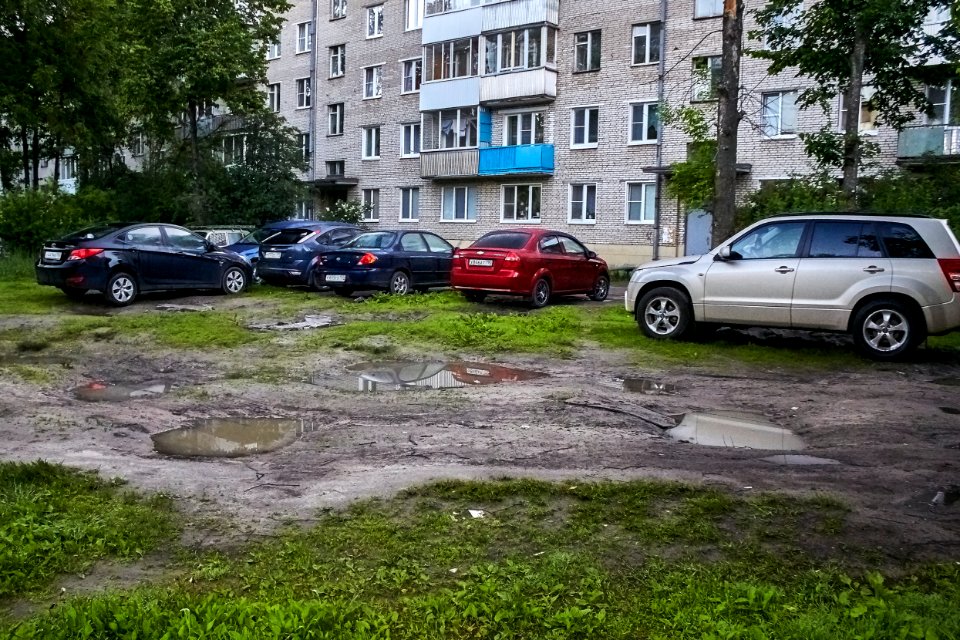 In the courtyard of my house