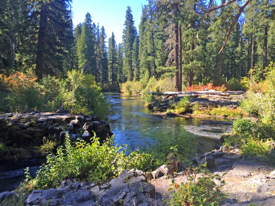 Woodruff Bridge and Rogue River, Rogue River Siskiyou National Forest