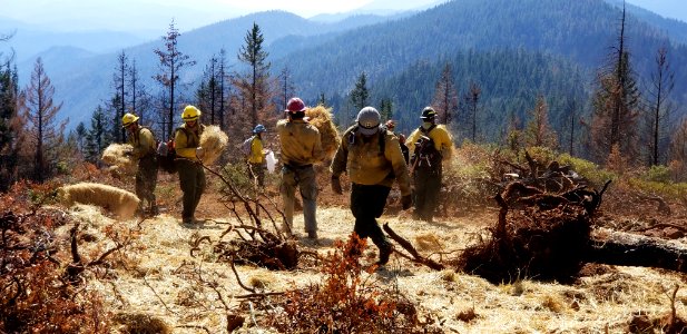 Straw and Seed Repair, Klondike Fire