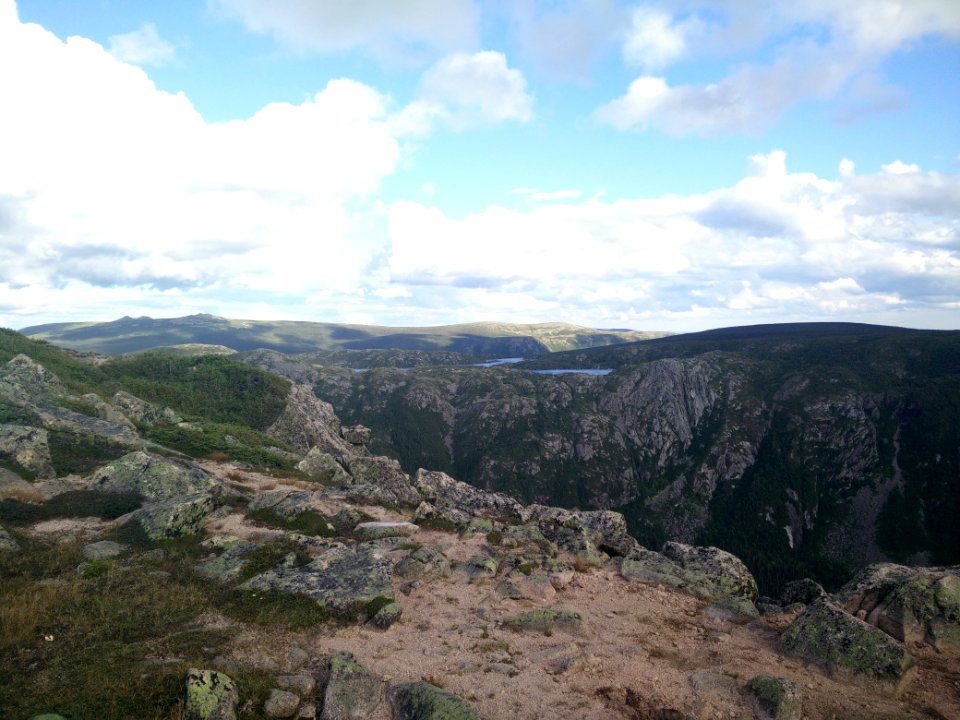 043 - Parc national de la Gaspésie : Mont Xalibu