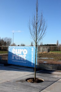 Eurodal bij Eurorent Sint Niklaas