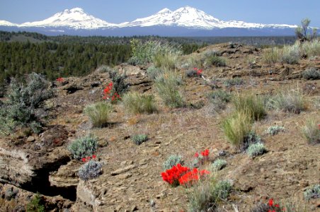 Ochoco NF Three Sisters from Grassland photo