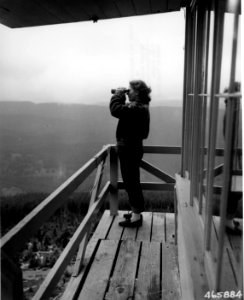 465884 Dorothy Lynch at Sisi Butte LOT, Mt Hood NF, OR 1951 photo