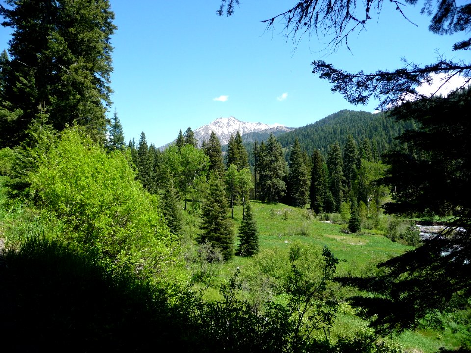Krag Peak and Meadow, Wallowa-Whitman National Forest