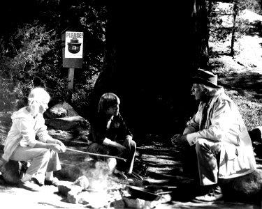 Denver Pyle with Kids Campground Fire Message 2