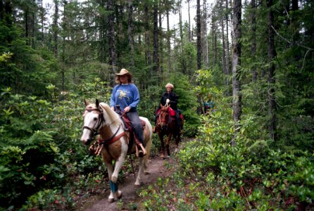Horserider riding trail, rhododendron, Mt Hood National Forest