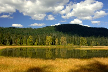 Lost Lake Reflections, Willamette National Forest photo
